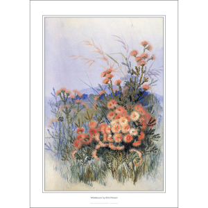 Ellis Rowan 'Malaleuca' Art Print
