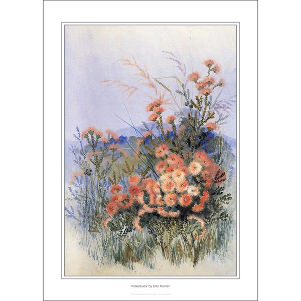Ellis Rowan 'Malaleuca' Art Print