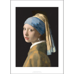 Johannes Vermeer 'Girl With A Pearl Earring' Art Print c1665 - Multi Sizes border bd